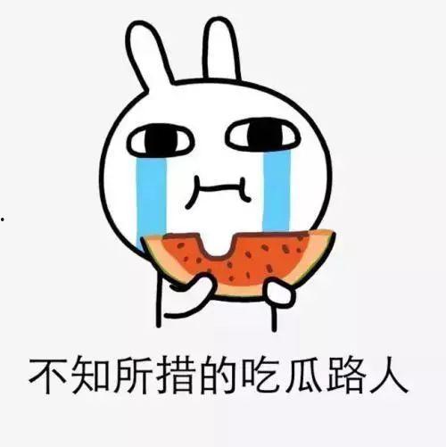 吃瓜网痞y,揭秘网络红人的幕后故事