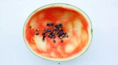 吃瓜网红小勺子视频,揭秘娱乐圈幕后故事