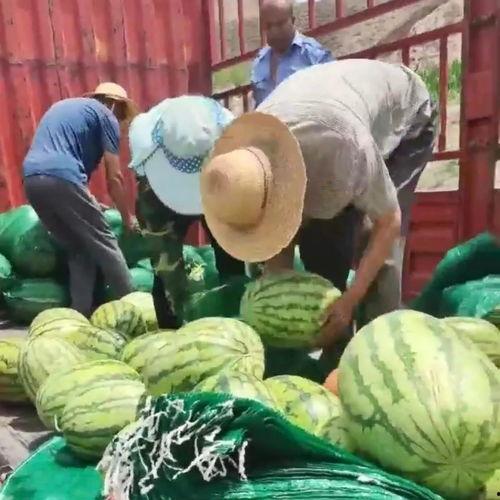 金乡吃瓜网51爆料金乡