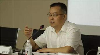 吃瓜网成都局长,吃瓜群众热议背后的真相与反思