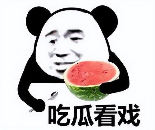 吃瓜吃到吐网图表情包,揭秘网络表情包背后的趣味与深思