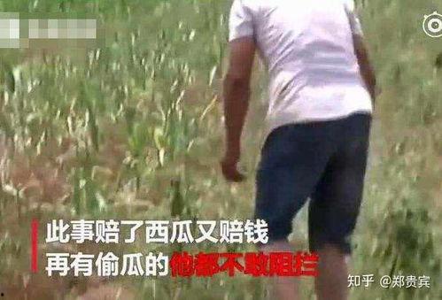 晋城网红吃瓜事件视频曝光